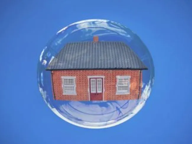 Economic Bubbles